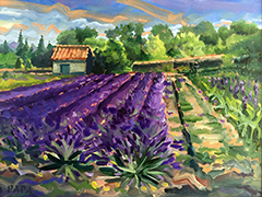 Lavender Field at St. Remy 2015